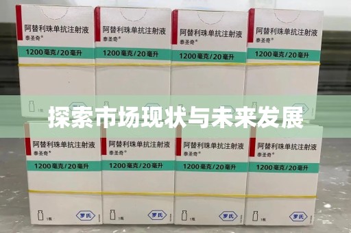 杭州探索市场现状与未来发展
