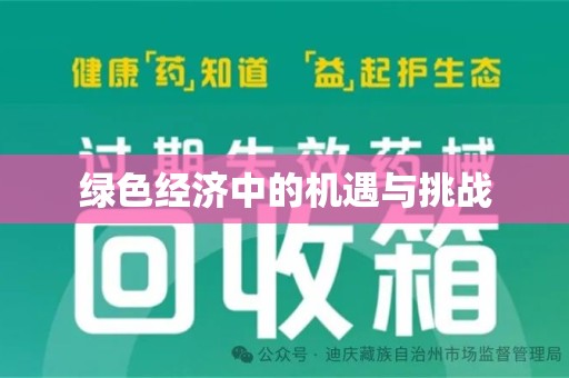 杭州绿色经济中的机遇与挑战