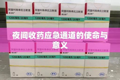 杭州夜间收药应急通道的使命与意义