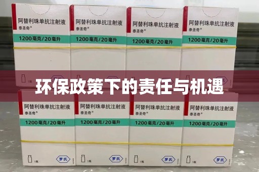 杭州环保政策下的责任与机遇