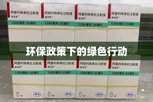 杭州环保政策下的绿色行动