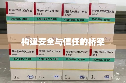 杭州构建安全与信任的桥梁